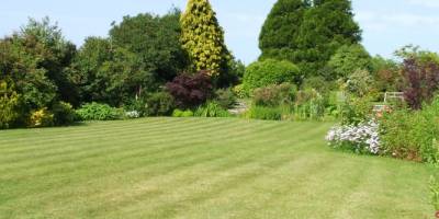 5 adet bahçe ihale usulü ile satılacak