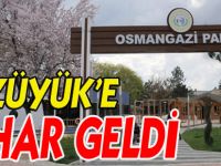 BOZÜYÜK’E BAHAR GELDİ