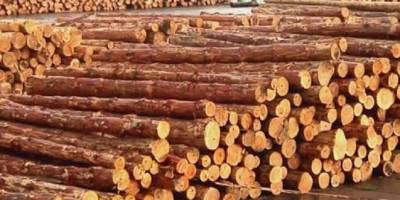 Orman emvali istifleme hizmeti alınacak