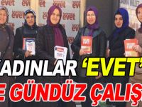AK KADINLAR 'EVET' İÇİN GECE GÜNDÜZ ÇALIŞIYOR