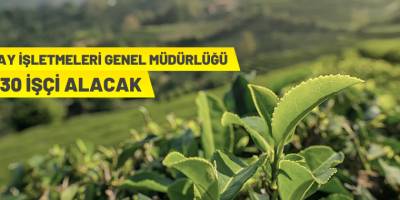 ÇAYKUR işçi alımı yapacak