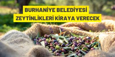 Zeytinlikler kiraya verecek