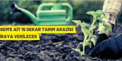 14 dekar üretim tesisi kiraya verilecek