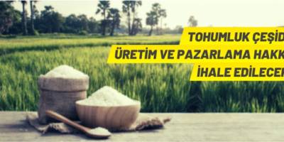 Tohumluk çeşidinin üretim ve pazarlama hakkı satılacak