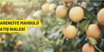 TİGEM narenciye satacak