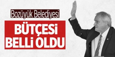 Bozüyük Belediyesi bütçesi belli oldu