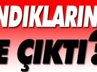 SANDIKLARINDA NE ÇIKTI?