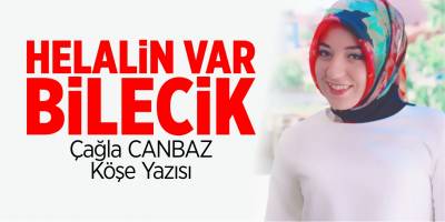 Helalin var Bilecik