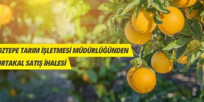Portakal satış ihalesine davet