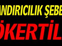 DOLANDIRICILIK ŞEBEKESİ ÇÖKERTİLDİ