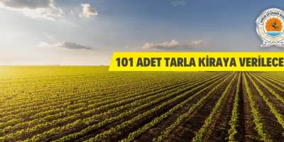 101 adet tarla kiraya verilecek