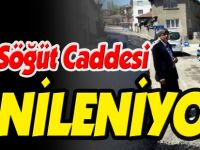 YENİ SÖĞÜT CADDESİ YENİLENİYOR