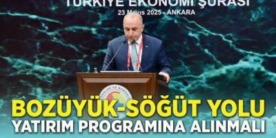 Bozüyük-Söğüt Yolu Yatırım Programına Alınmalı