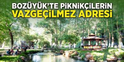 Bozüyük'te Piknikçilerin Vazgeçilmez Adresi