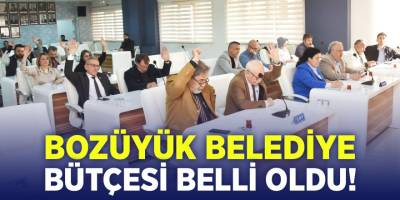Bozüyük Belediye Bütçesi Belli Oldu!