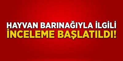 Hayvan Barınağıyla İlgili İnceleme Başlatıldı!