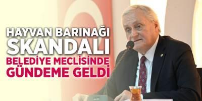 Hayvan Barınağı Skandalı Belediye Meclisinde Gündeme Geldi