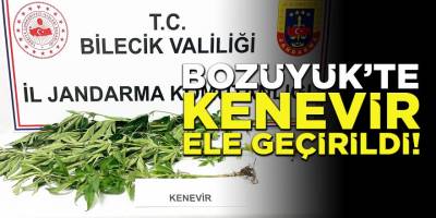 Bozüyük'te Kenevir Ele Geçirildi!
