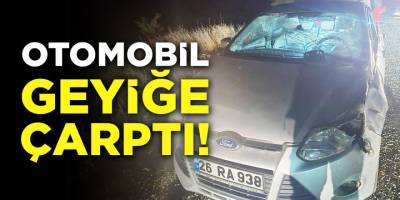 Otomobil geyiğe çarptı!
