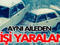AYNI AİLEDEN 4 KİŞİ YARALANDI