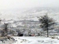 BOZÜYÜK'TE KAR YAĞIŞI ETKİLİ OLDU