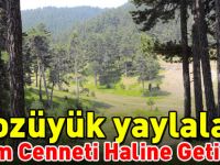 BOZÜYÜK YAYLALARI TURİZM CENNETİ HALİNE GETİRİLİYOR