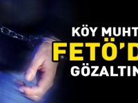 KÖY MUHTARI FETÖ’DAN GÖZALTINDA