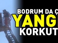 BODRUM DA ÇIKAN YANGIN KORKUTTU!