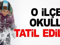 O İLÇEDE OKULLAR TATİL EDİLDİ