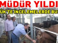 MÜDÜR YILDIZ, BOZÜYÜK’TE İNCELEMELERDE BULUNDU