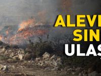ALEVLER SINIRA ULAŞTI!