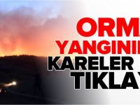 BOZÜYÜK ORMAN YANGINI