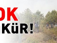 YANGIN KONTROL ALTINA ALINDI