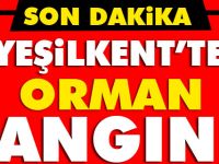 YEŞİLKEN'TE ORMAN YANGINI