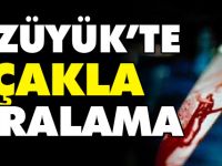 BOZÜYÜK’TE BIÇAKLA YARALAMA