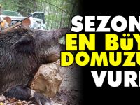 SEZONUN EN BÜYÜK DOMUZUNU VURDU