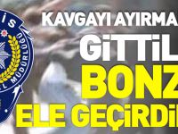 KAVGAYI AYIRMAK İÇİN GİTTİLER BONZAİ ELE GEÇİRDİLER