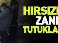 HIRSIZLIK ZANLISI TUTUKLANDI