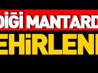 YEDİĞİ MANTARDAN ZEHİRLENDİ