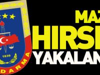 MAZOT HIRSIZI YAKALANDI