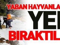 YABAN HAYVANLARI İÇİN YEM BIRAKTILAR