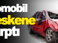 OTOMOBİL MESKENE ÇARPTI