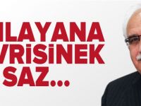 ANLAYANA SİVRİSİNEK SAZ…