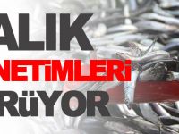 BALIK DENETİMLERİ SÜRÜYOR