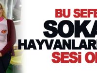 BU SEFERDE SOKAK HAYVANLARININ SESİ OLDU