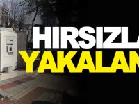HIRSIZLAR YAKALANDI