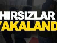 HIRSIZLAR YAKALANDI