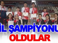 MEHMET AKİF ERSOY ORTAOKULU SATRANÇ TAKIMI İL ŞAMPİYONU OLDU