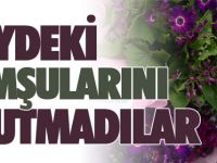 KÖYDEKİ KOMŞULARINI UNUTMADILAR