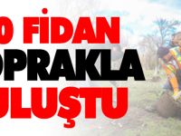 100 FİDAN TOPRAKLA BULUŞTU